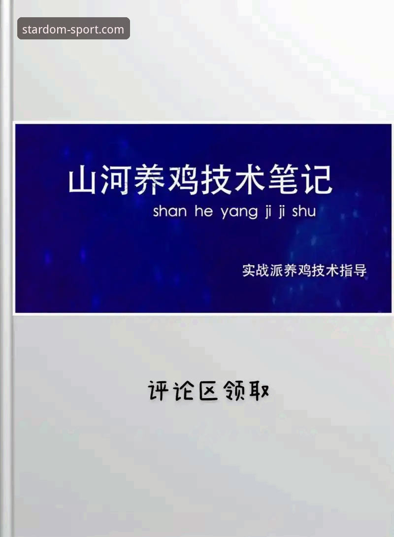 实战派经验分享：星空体育快速注册的5个高效技巧与避坑指南